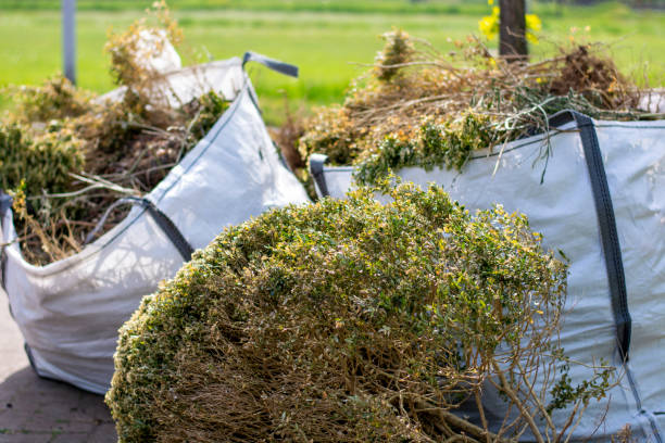 Best Construction Debris Removal  in Southport, IN